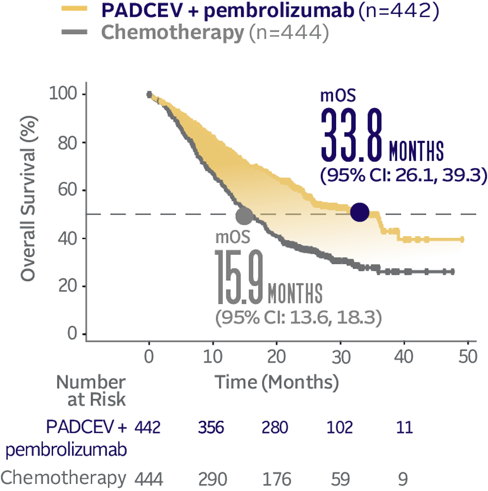 Graph showing 33.8 months median overall survival with PADCEV + pembrolizumab and 15.9 months median overall survival with chemotherapy