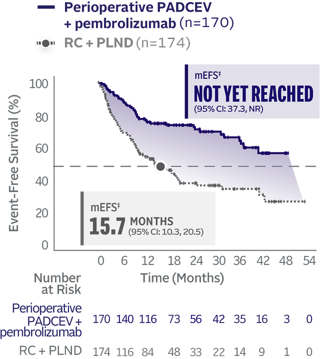 Graph showing median event-free survival not reached with perioperative PADCEV + pembrolizumab in cisplatin-ineligible MIBC and 15.7 months median event-free survival with RC + PLND