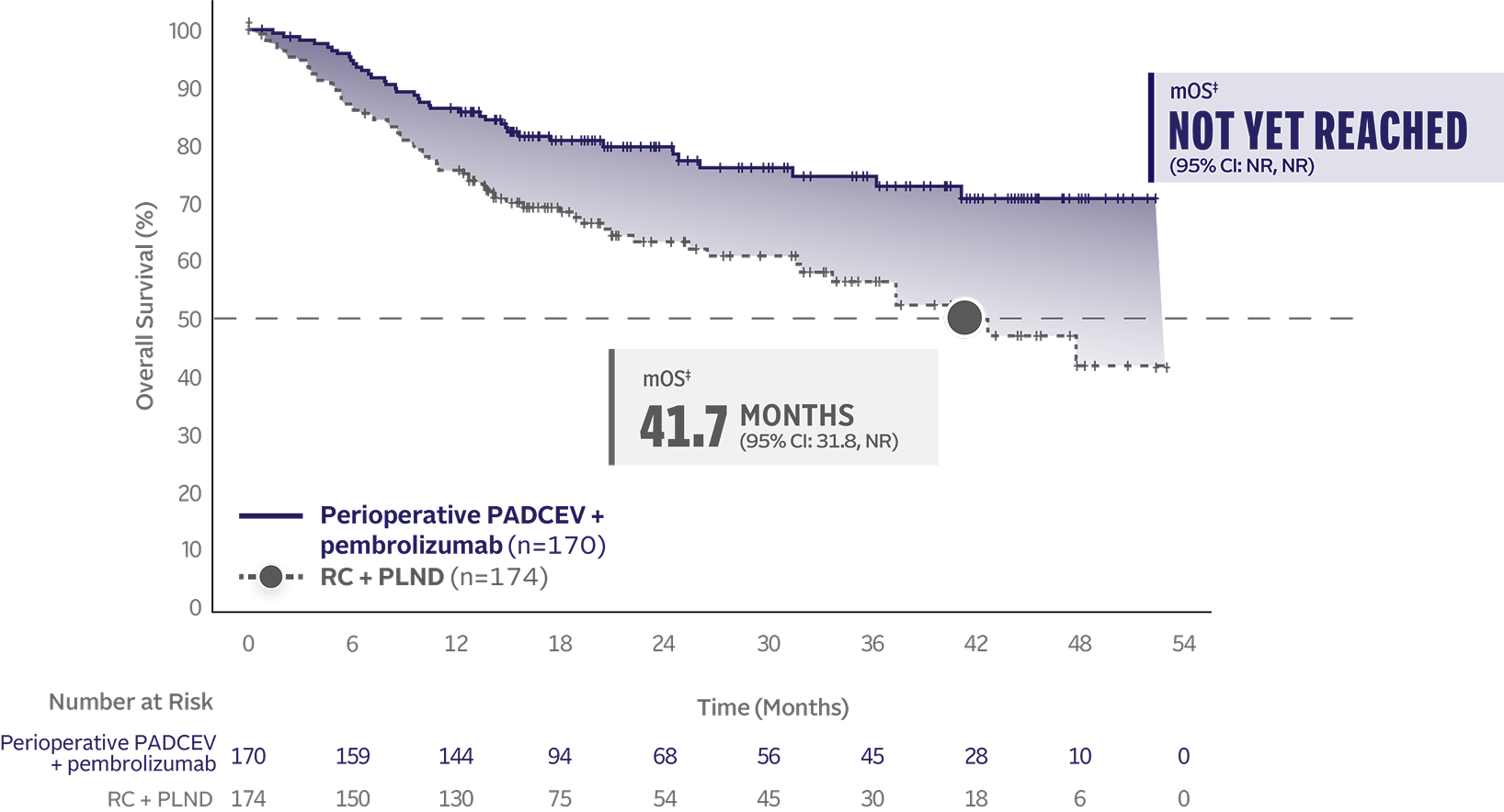 Graph showing median overall survival not reached with perioperative PADCEV + pembrolizumab in cisplatin-ineligible MIBC and 41.7 months median overall survival with RC + PLND