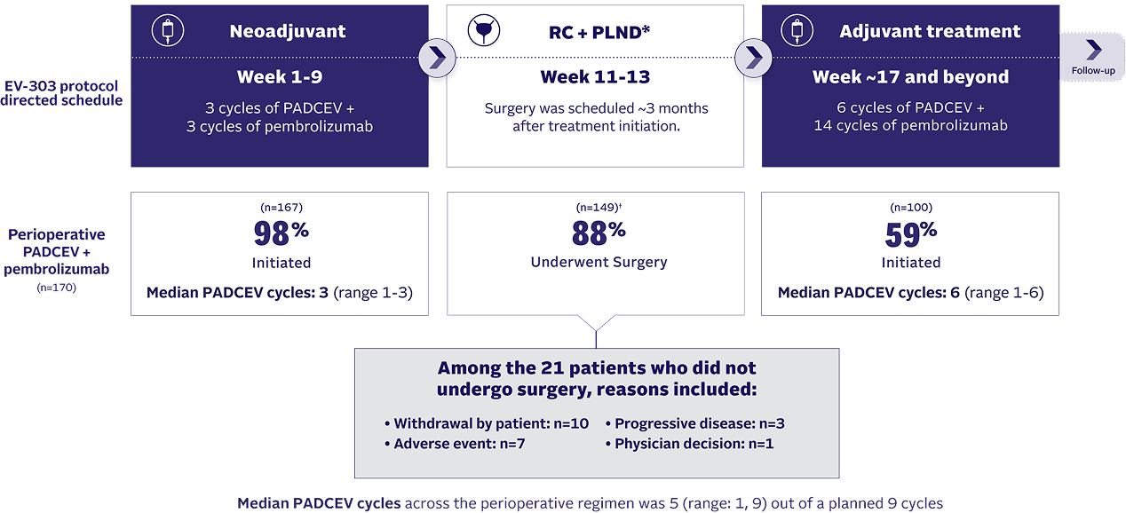 Chart showing disposition of patients with perioperative PADCEV + pembrolizumab regimen in cisplatin-ineligible MIBC.